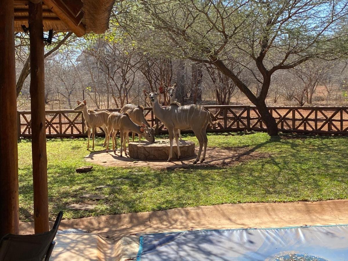 Genet House Holiday Home Marloth Park Exterior photo